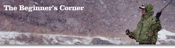 The Beginner's Corner