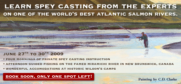 Learn Spey Casting from the Experts. Book soon, only one spot left!