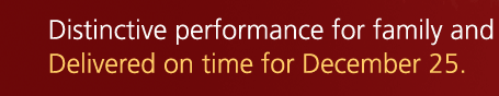 Distinctive performance for family and friends. Delivered on time for December 25