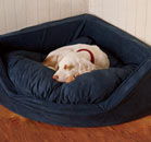 shop the home and gift tent sale