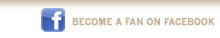 Become a Fan on Facebook 