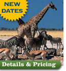 details and pricing