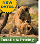 details and pricing