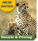 details and pricing