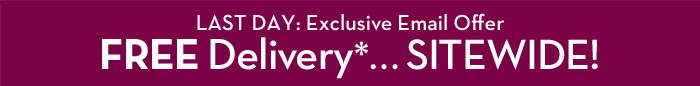Last Day - Exclusive Email Offer: FREE Delivery* ... Sitewide
