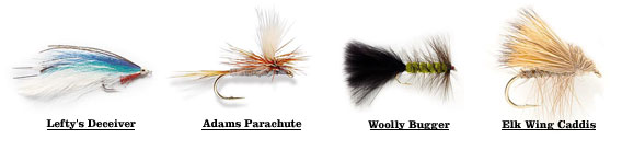 Lefty's Deceiver, Adams Parachute, Woolly Bugger, Elk Wing Caddis