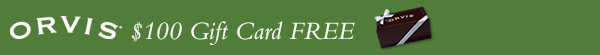 $100 Gift Card FREE