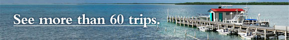 See more than 60 trips