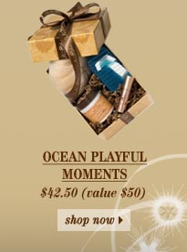 http://www.carolsdaughter.com/product/gifts/ocean+playful+moments.do?utm_source=iPost&utm_medium=email&utm_content=sku-ocean-playful-moments&utm_campaign=20081221-1495-flat-rate-shipping